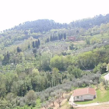 Konukevi Affittacamere Palmira Pescia