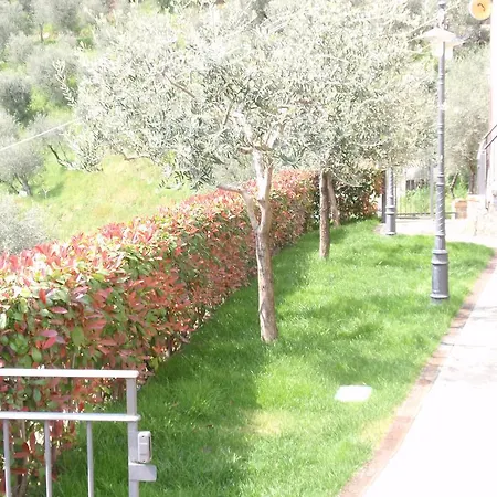 Affittacamere Palmira Pescia